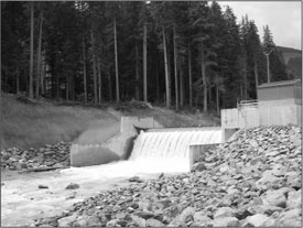 Photograph -- Rutherford Creek, Pemberton, B.C.