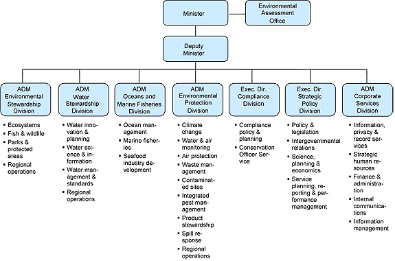 Types of business organizational structures | pingboard