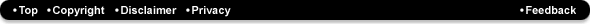 Footer Navigation Bar