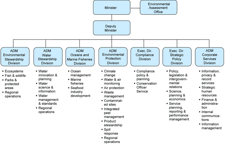 Figure 1. Ministry of Environment organizational structure.