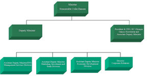 Link to Organization Chart.