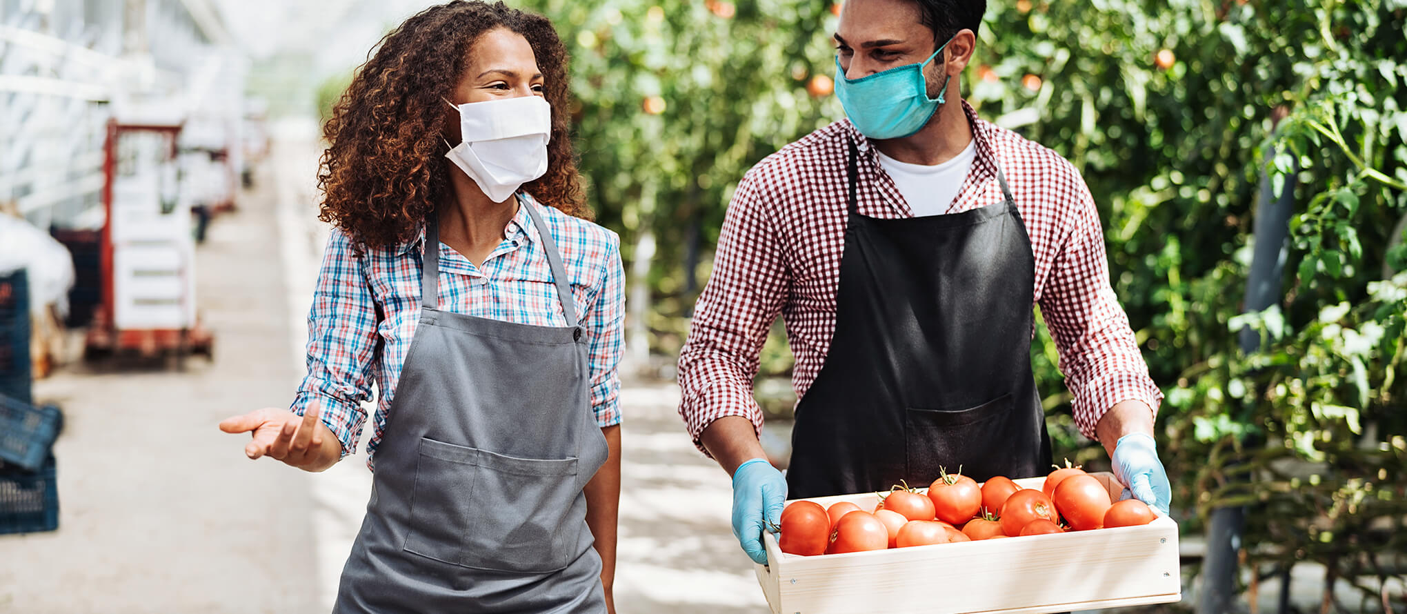 orchard workers talking