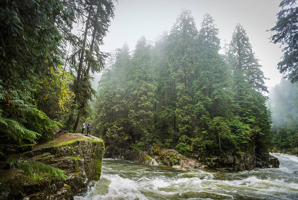 hikers looking at a river