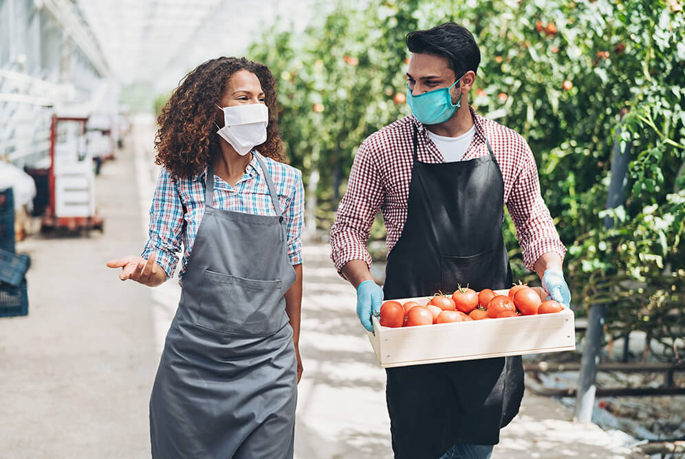 orchard workers talking