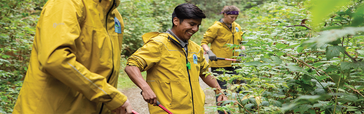 a landscape of people in a forest