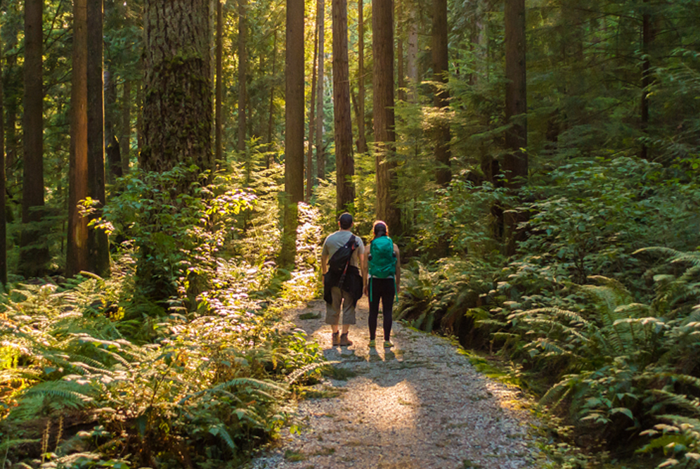 man and woman walking through forest on gravel trail
